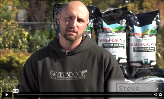 Sweetbrook Featured In Latest Jonathan Green Video