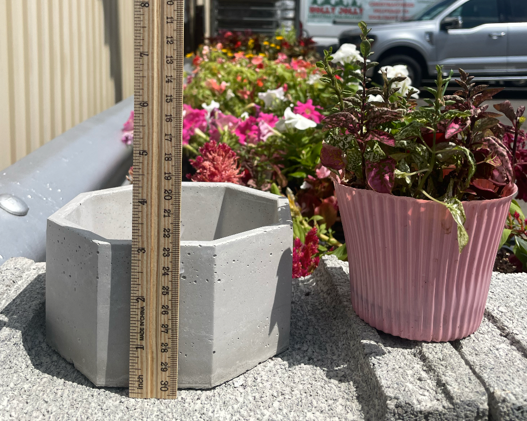 Octagonal Cement Planter
