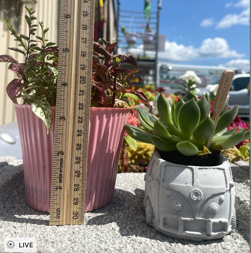 Volkswagon Van Succulent Planter