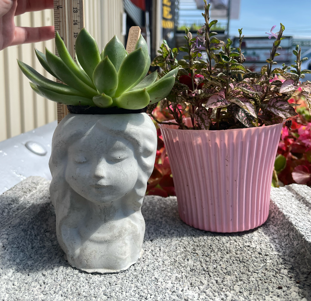 Girl Succulent Planter