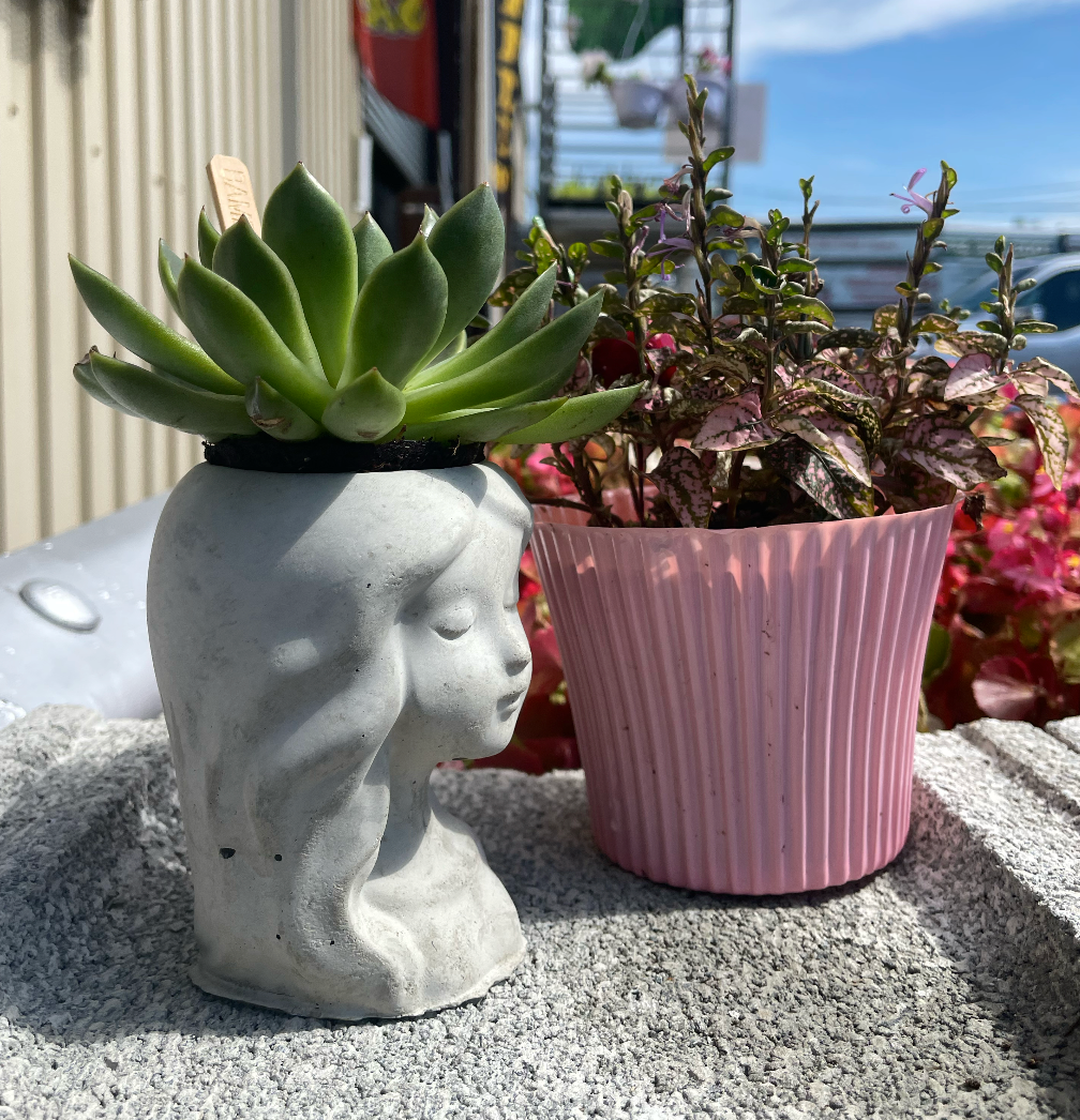 Girl Succulent Planter