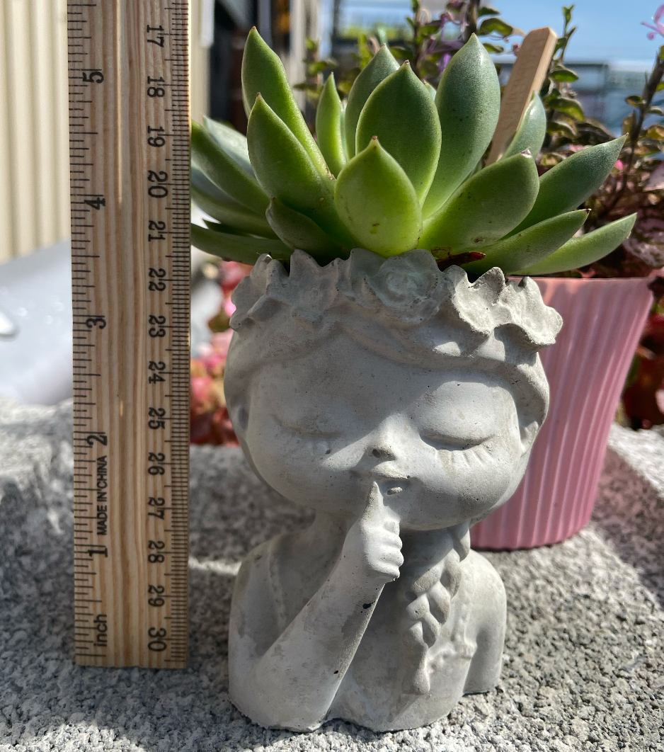 Quiet Flower Girl Succulent Planter