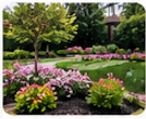 Municipal & Public-Space Landscaping