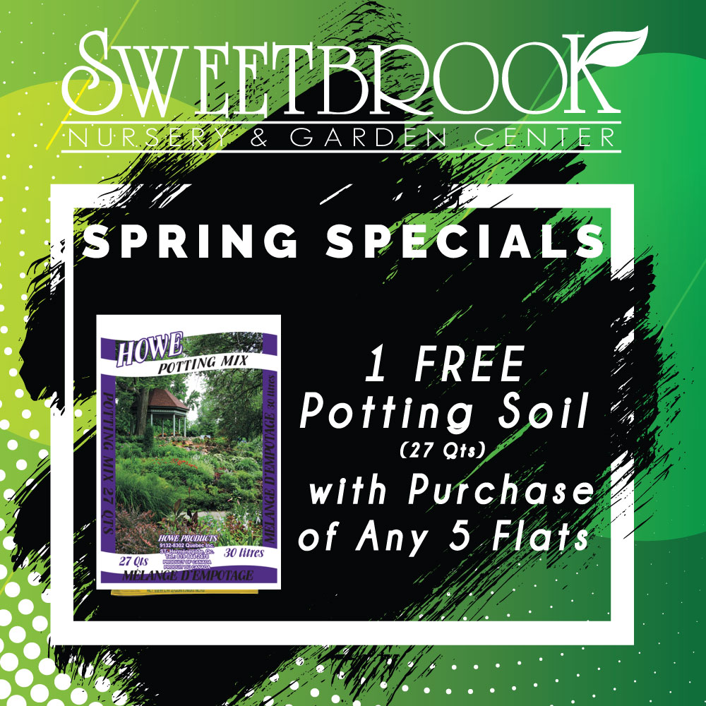 Spring Specials: Free 1lb of Potting Soil with any 5 flats.