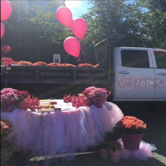 Sweetbrook Covers Midland Beach In Pink At Making Strides Against Breast Cancer Staten Island