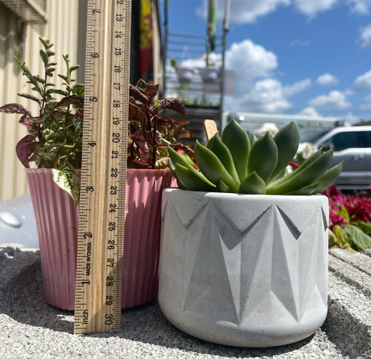 Triangle Succulent Planter