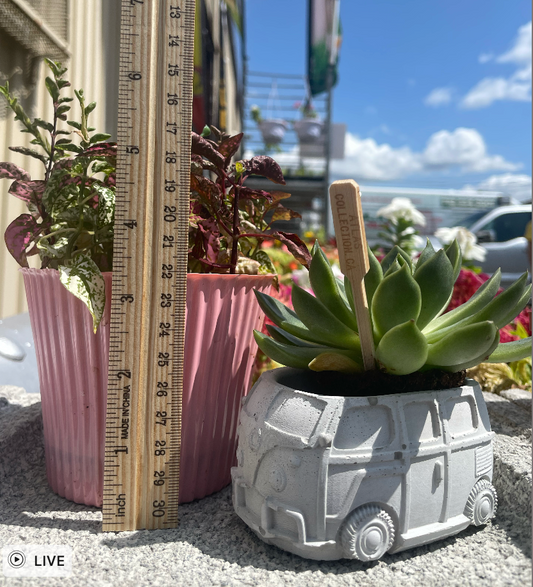 Volkswagon Van Succulent Planter