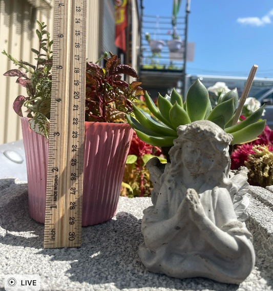 Angel Succulent Planter