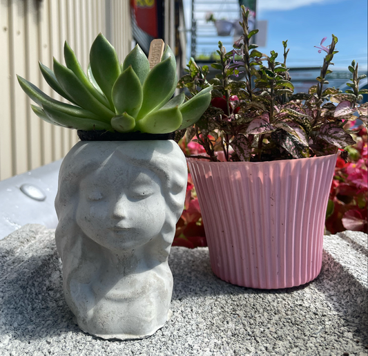 Girl Succulent Planter