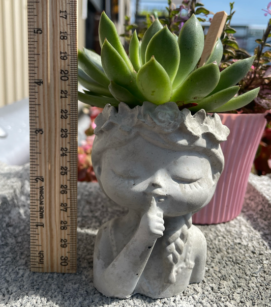 Quiet Flower Girl Succulent Planter