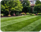 Commercial Landscaping