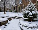 Snow & Ice Management